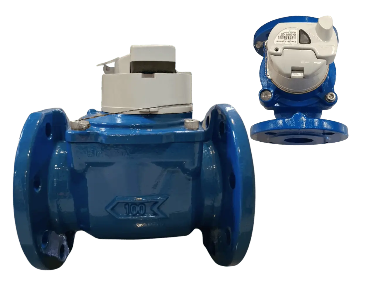 Water Meter Itron Woltex WE